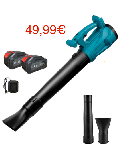 Soffiatore a Batteria Professionale Soffiatore per Foglie 2 Batterie 6 Velocita'