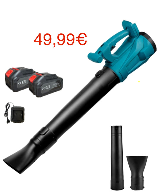 Soffiatore a Batteria Professionale Soffiatore per Foglie 2 Batterie 6 Velocita'