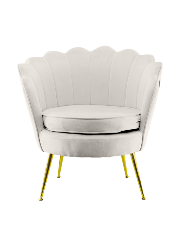 Poltrona Schienale a Conchiglia VENERE in Velluto Vintage Piedi Oro da Salotto